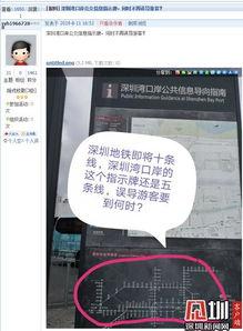 每日爆料深圳新闻网最新消息,每日爆料,聚焦深圳最新动态